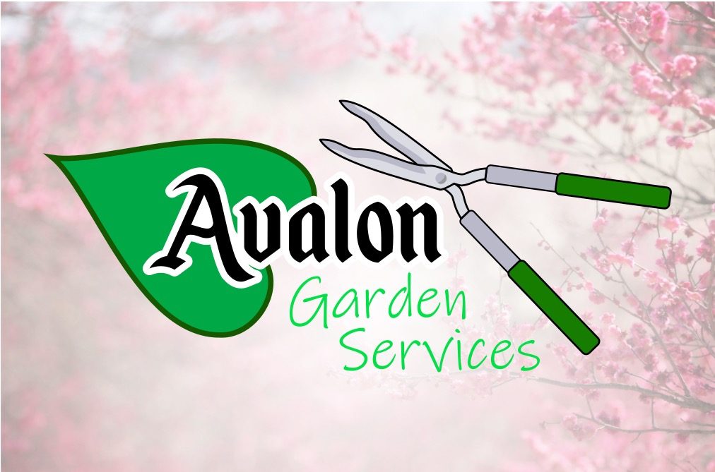 Logo of Avalon Garden Services Logo of Avalon Garden Services featuring garden shears and a cherry blossom background design.
