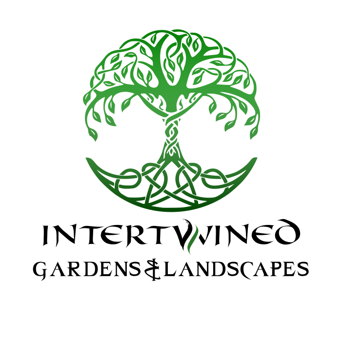 Logo of Intertwined Gardens & Landscapes Logo of Intertwined Gardens & Landscapes featuring a stylised green tree with celtic knot style roots.